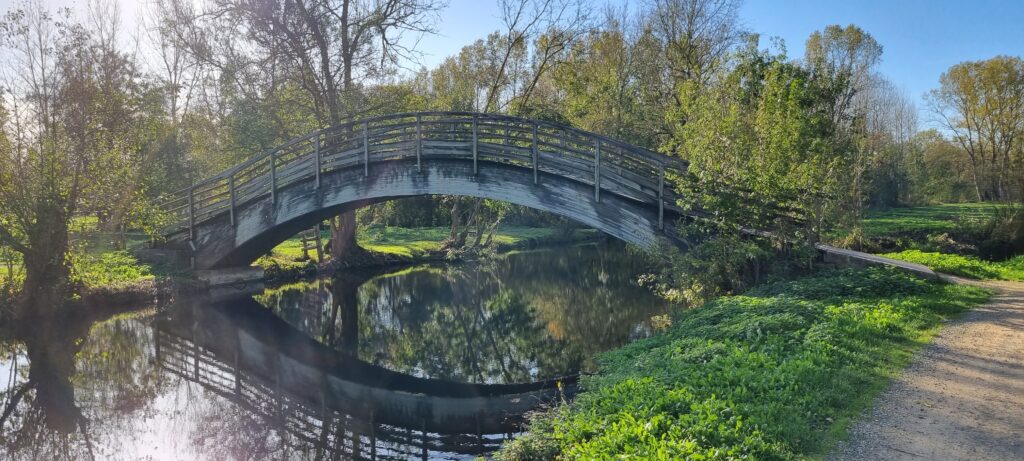 Entre La Garette et Coulon